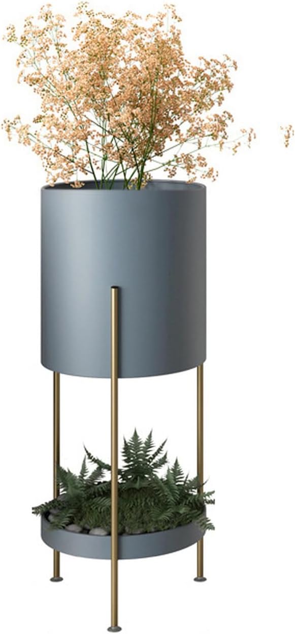 植物識別ガイド Co tu kvete? 植物識別ガイド 図鑑 tu