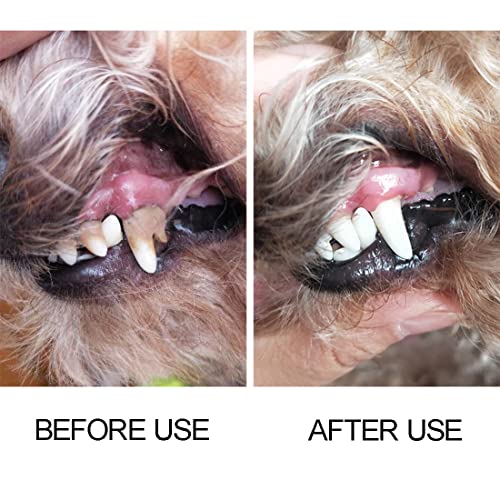 SIOPPKIK Spazzolino da Denti per Cani di Gatto