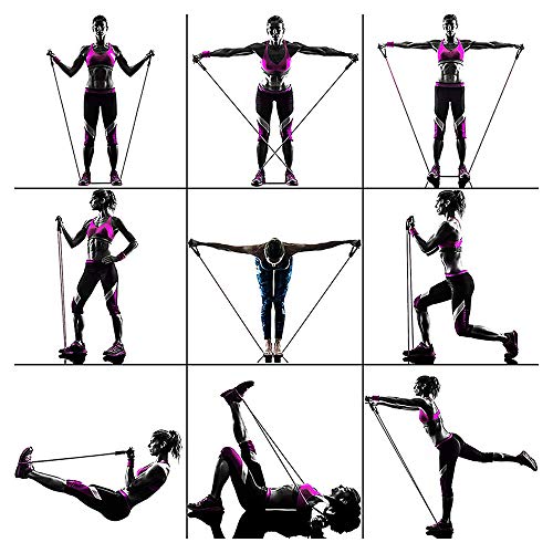 MsMk Resistance Bands Set, Exercise Bands with Door Anchor, Handles, Waterproof Carry Bag, Legs Ankle Straps for Resistance Training, Physical Therapy, Home Workouts - Thumbnail 3