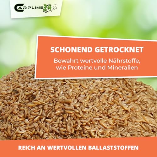 Bachflohkrebse Gammarus 2000ml - Getrocknete Insekten als Futter für Schildkröten, Axolotl, Vögel & Nager, Fischfutter für Aquarium & Teich – Bild 5