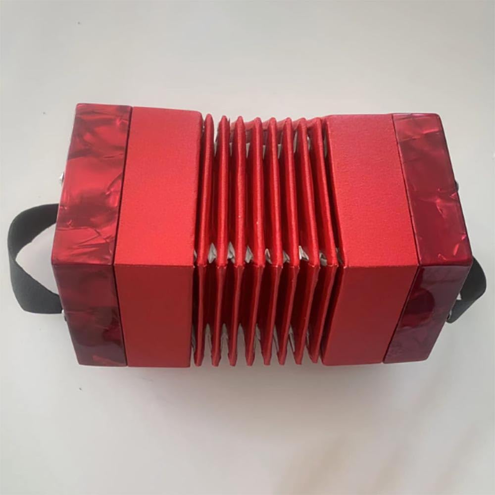 Fisarmonica esagonale a 20 tasti per adulti Fisarmonica professionale per principianti Concertina professionale (nero)