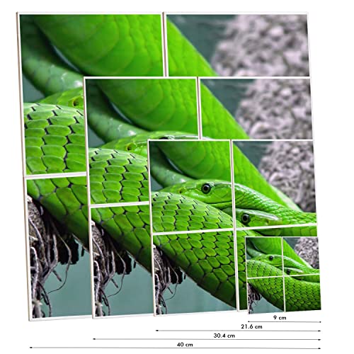 Carreaux céramique python vert lot de 4 décoration murale nature 40x40 cm - 3