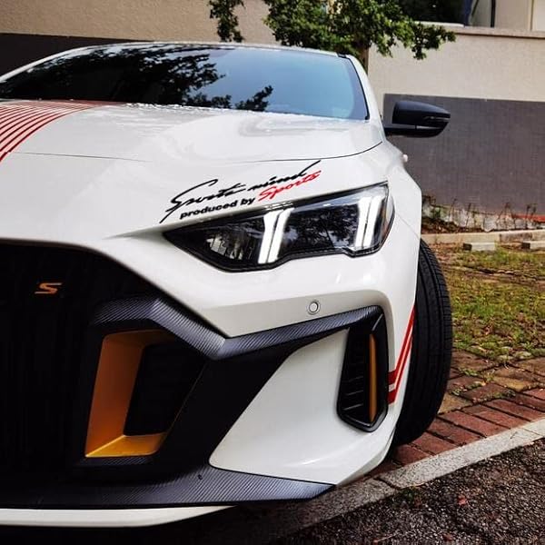 The 26 Best Vinyl Car Decals of 2024 [Verified] Cherry Picks