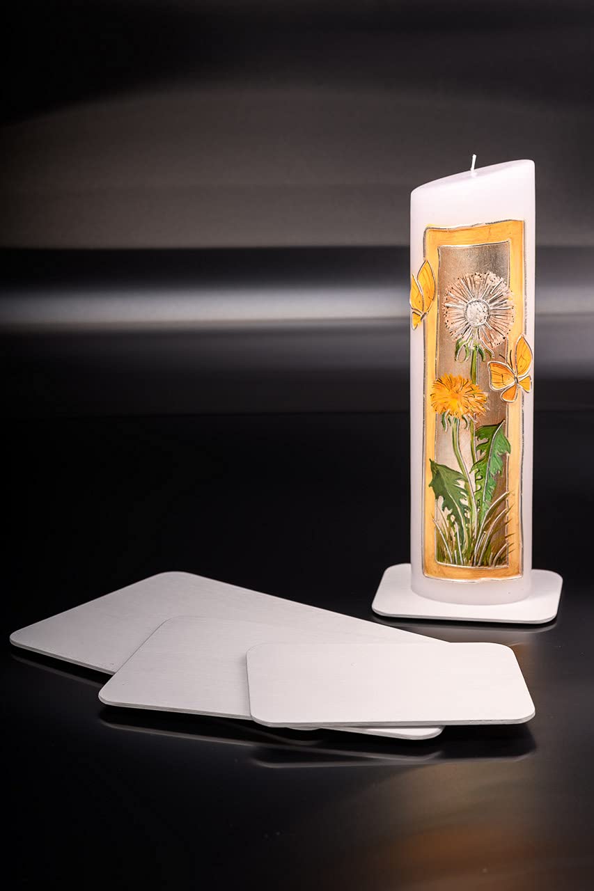 12 Platillos Para , Bandeja Para Agua, Diseño S Blanco | Cuotas Sin Interés