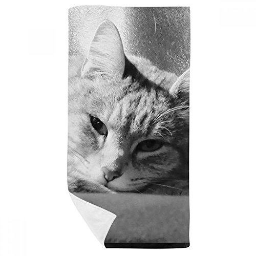 Serviette chat gris haute définition au toucher doux 35x70cm