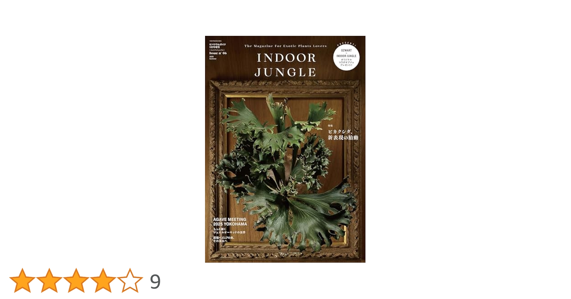 INDOOR JUNGLE （インドアジャングル）No.06 ビカクシダ、新表現