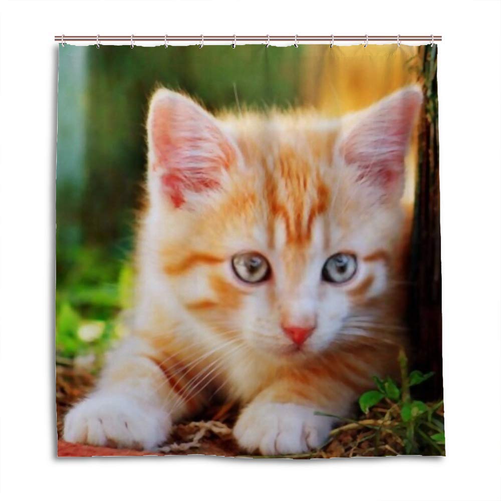 Rideau de douche chaton mignon pour un réveil tendu et joyeux