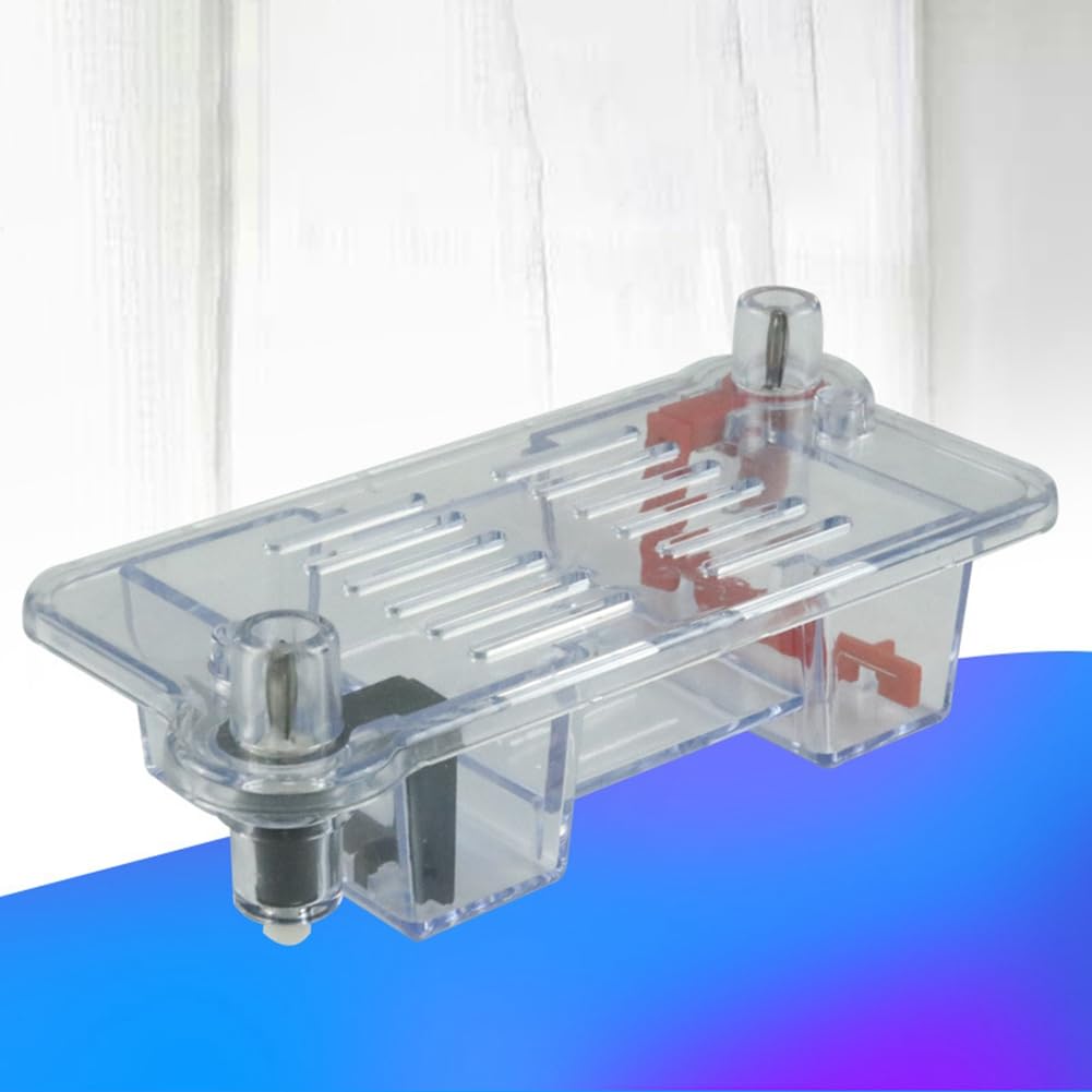 XIAOJUN Tanque de Electroforesis Horizontal para Educación y Biología