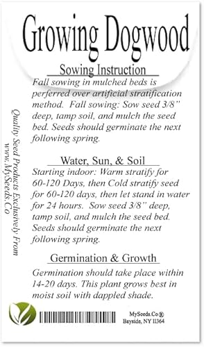 Cedar, Dogwood, Pine, Redwood, Spruce, Tree Seed By Myseeds.co, You Choose The Color N Quantity (1 Pack, Cornelian Cherry - Big Pack) #TOP2