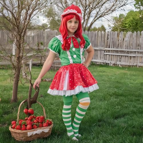 Image of PolyMedea Elite Quality Colorful Soft Cotton Women's Striped Knee High Socks