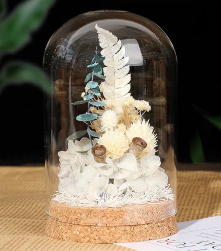 vU[uht[ hCt[ i KXh[ MtgZbg  ̓ a NX}X ސEj Əj j oYj  v[g Lbg DIYޗZbg t̓  CeA t[AWg