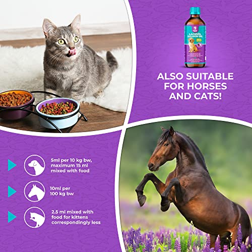 Beauty Wuff – Lachsöl für Hunde, Katzen und Pferde – Reich an Omega 3 Säuren– Fischöl für Hund (500 ml)…