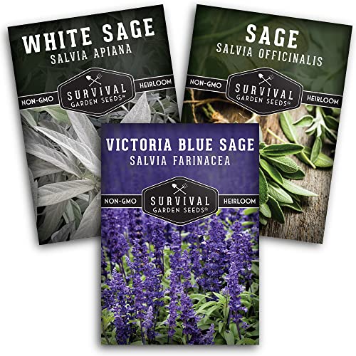 Survival Garden Seeds Sage Collection Seed Vault - White, Culinary & Victoria Blue Sage (Salvia Apiana, Officinalis, Farinacea) - Non-GMO Heirloom Seeds for Your Garden