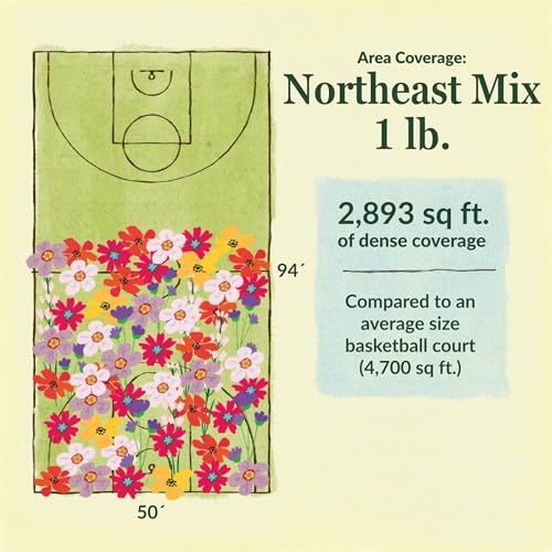 Image of Ferry-Morse Northeast Bulk Wildflower Seeds, 530,000+, 1 lb