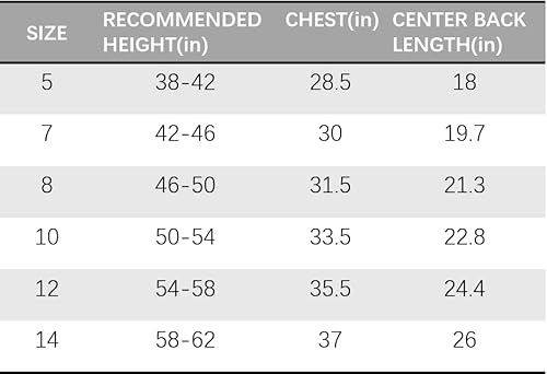 Danichins Boys Athletic Short-Sleeve Shirt Active Mesh Tee Loose Sports T-Shirt, Pack Of 2 (Blue, Grey, 12) #TOP6