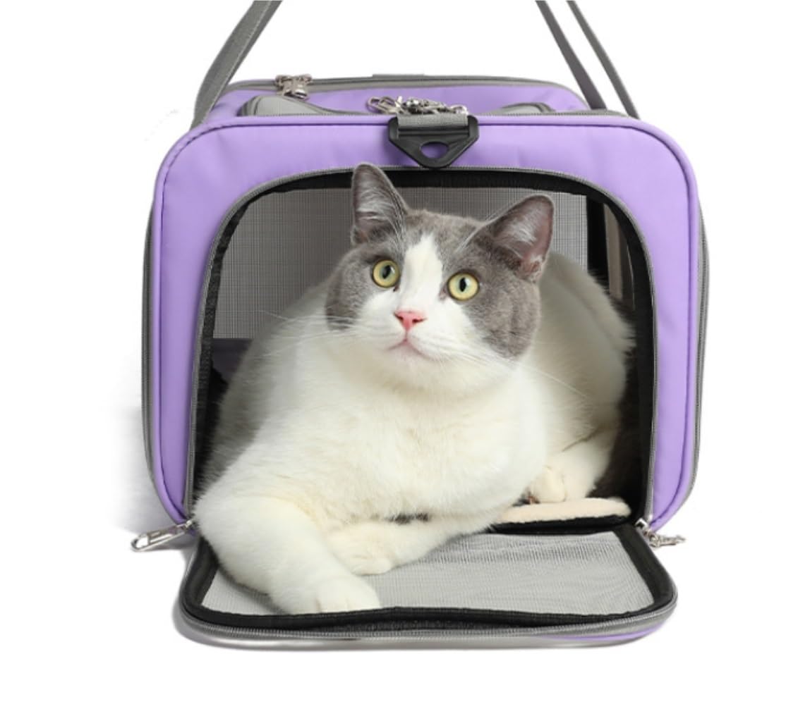 Mochila Mascotas Bolsa para Mascotas, Transportadora para Gatos, Eslinga para Ardilla, Portador para Hámster, para, De Contenedores Pequeños Animal(C)