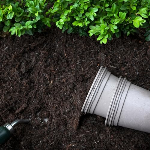 Terra Vegetal Pronta Para Plantio de Plantas Ecológico 2Kg