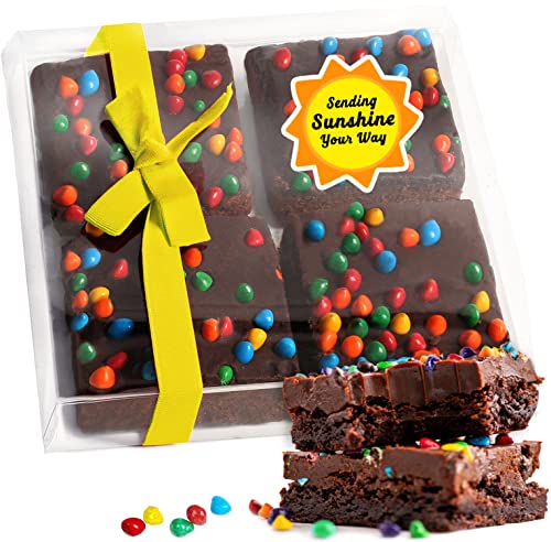 Sending You Sunshine Gift Basket Care Package Cookies Chocolate Brownies Food Gift For Men Kids Women | Nut Free Dairy Free | Thinking Of You