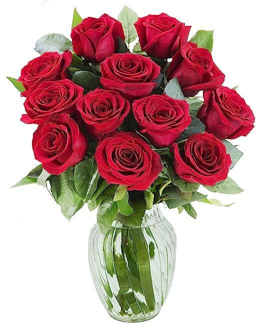 KaBloom Flowers - Mother's Day Collection - 12 Red Roses with vase, Gift for Birthday, Sympathy, Anniversary, Get Well, Thank You, Valentine, Mother’s Day Fresh Flowers