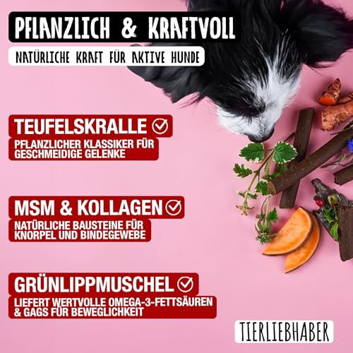 TIERLIEBHABER – Gelenk Sticks 350 g Grünlippmuschel Hund & Teufelskralle Hund – Unterstützt Bewegungsapparat & Gelenke – Kollagen, MSM & natürliche Nährstoffe – Gelenkfit Ergänzung – Dog Snacks
