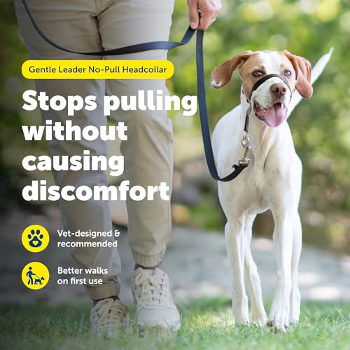 PetSafe Gentle Leader Quick Release Head Collar Medium Black 25-60 lbs