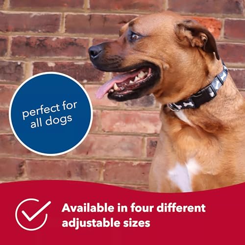 Collar Ajustable para Perro Patrones Estilo Wildflower miniatura 6