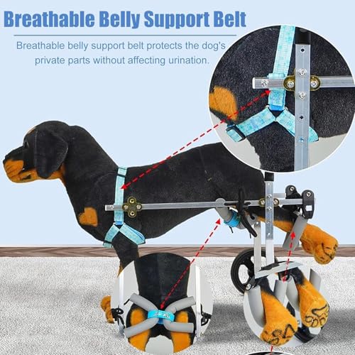 Chariot de mobilité pour chien handicapé 4 roues réglable - 5