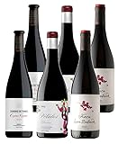 VINOS TINTOS BIERZO