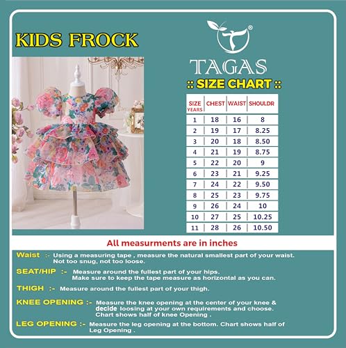 Image of TAGAS Girls' Princess Dress | Girl Floral Print Dress |Dresses birthdaydress for Babygirls |