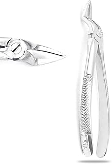 PC EXTRACTING Forceps #51A English Pattern Dental Instruments