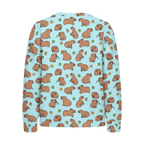 HUIACONG Sweatshirt Girls Tshirt for Kids Long Sleeve Shirts2