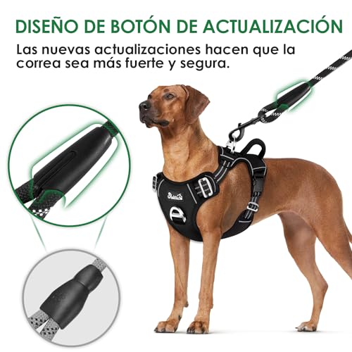 Collares Y Correas, Tools Imagen adicional