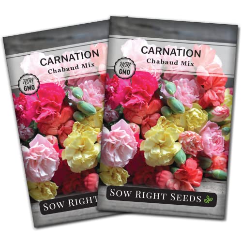 Sow Right Seeds - Chabaud Mix Carnation Seeds for Planting - Non-GMO Heirloom Dianthus Variety Ideal for Outdoor Gardens - Grow Large Carnation Plants - Easy to Sow and Bloom Beautiful Flowers (2)