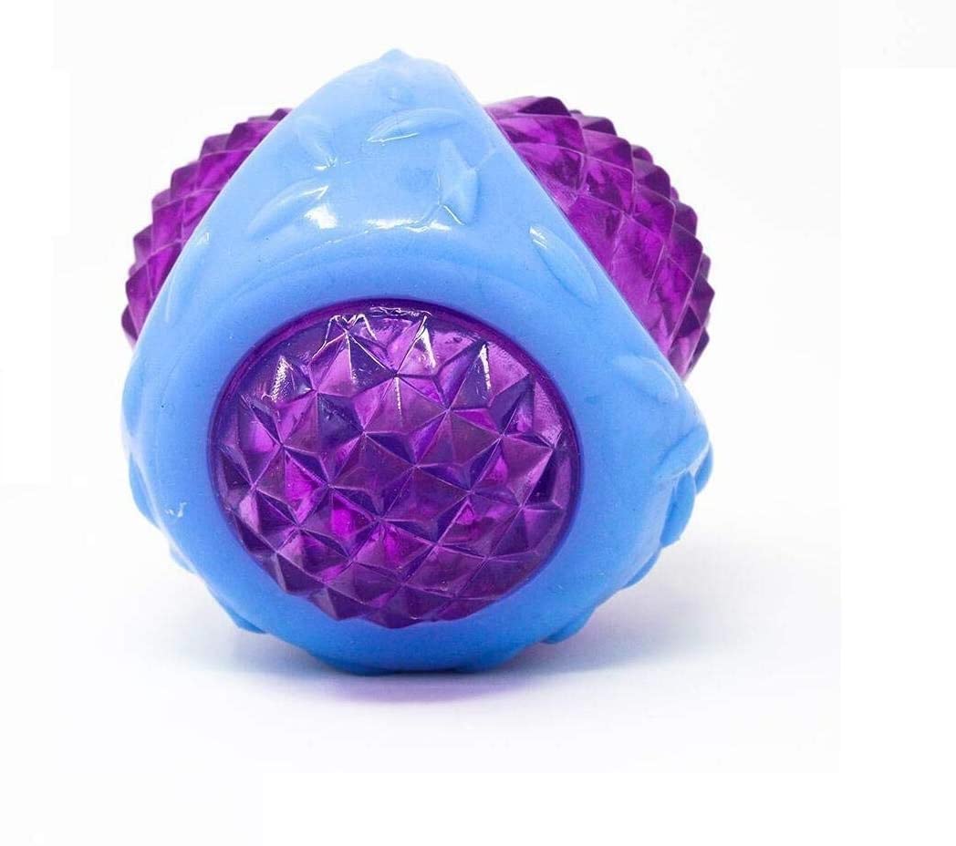 The DDS Store LED Squeaker Interactive Toy for Dogs (Colour May Vary) (Ball) (B081FG6R35) Amazon Price History, Amazon Price Tracker