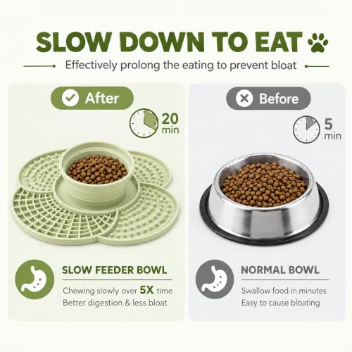  Collapsible Slow Feeder Dog Bowl & Lick Mat - image 7
