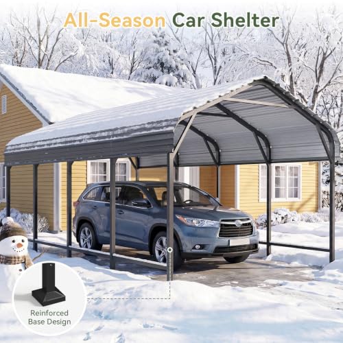 Aoxun 12x20 FT Metal Carport
