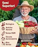 Zoom IMG-2 zengreens set di semi peperoncino Zoom IMG-2 zengreens set di semi peperoncino