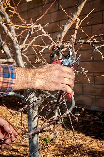 Corona BP 4180 Non-stick Steel Angled Bypass Hand Pruner - 5/8 inch Cut Capacity Stem and Branch Garden Shears, Red - Thumbnail 4