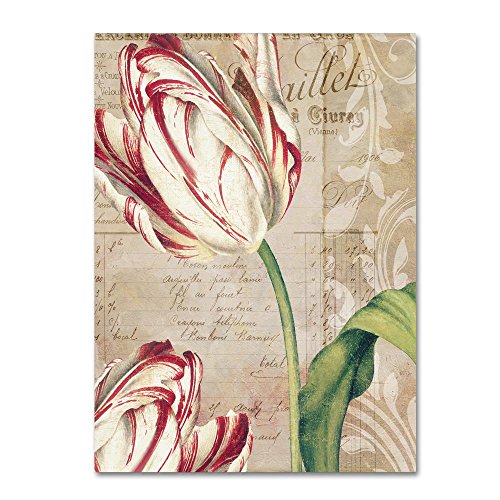 Tulips by Color Bakery, 14x19-Inch Canvas Wall Art