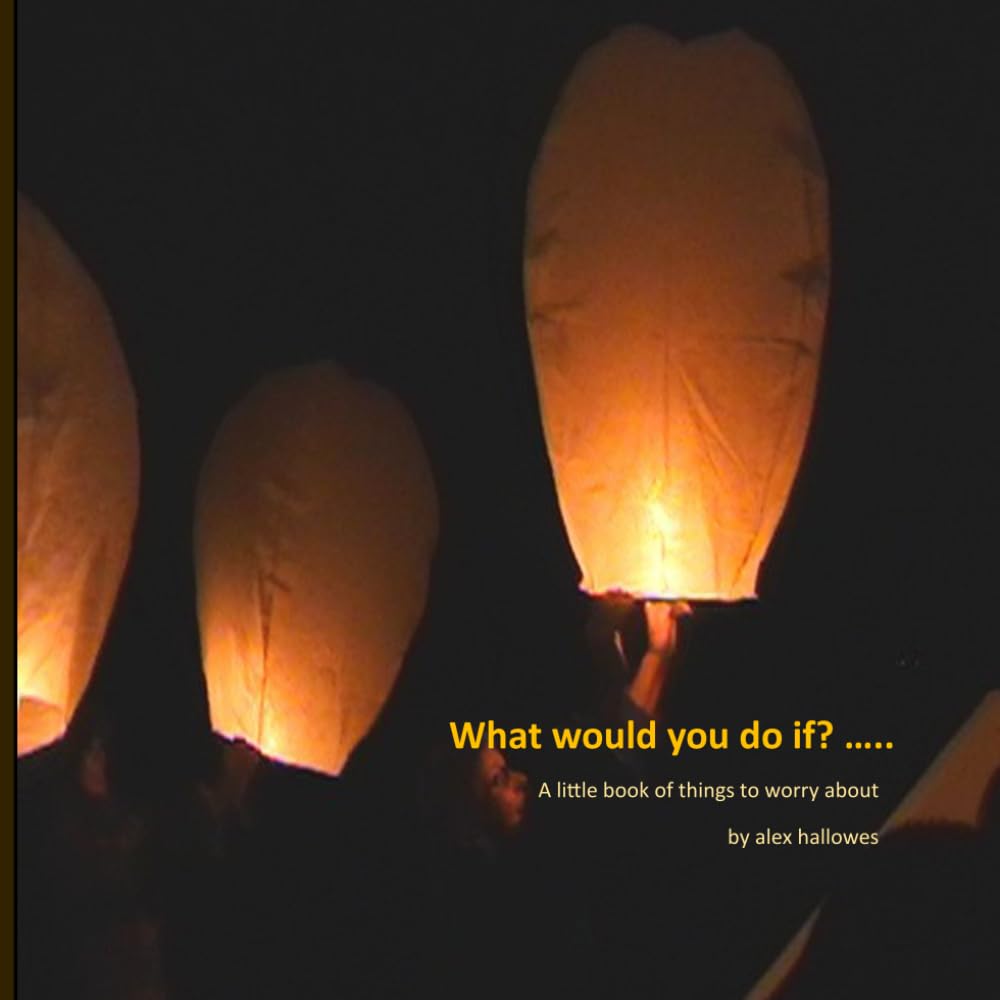 What would you do if ... ?: A little book of things to worry about