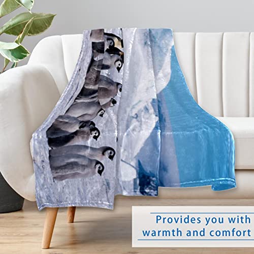 Couverture douce contre le froid plaid pingouins compact lit canapé - 7