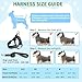 SlowTon No Pull Small Dog Harness and Leash Set, Puppy Soft Vest Harness Neck & Chest Adjustable, Reflective Lightweight Harness & Anti-Twist Pet Lead Combo for Small Medium Dogs (Black, S)