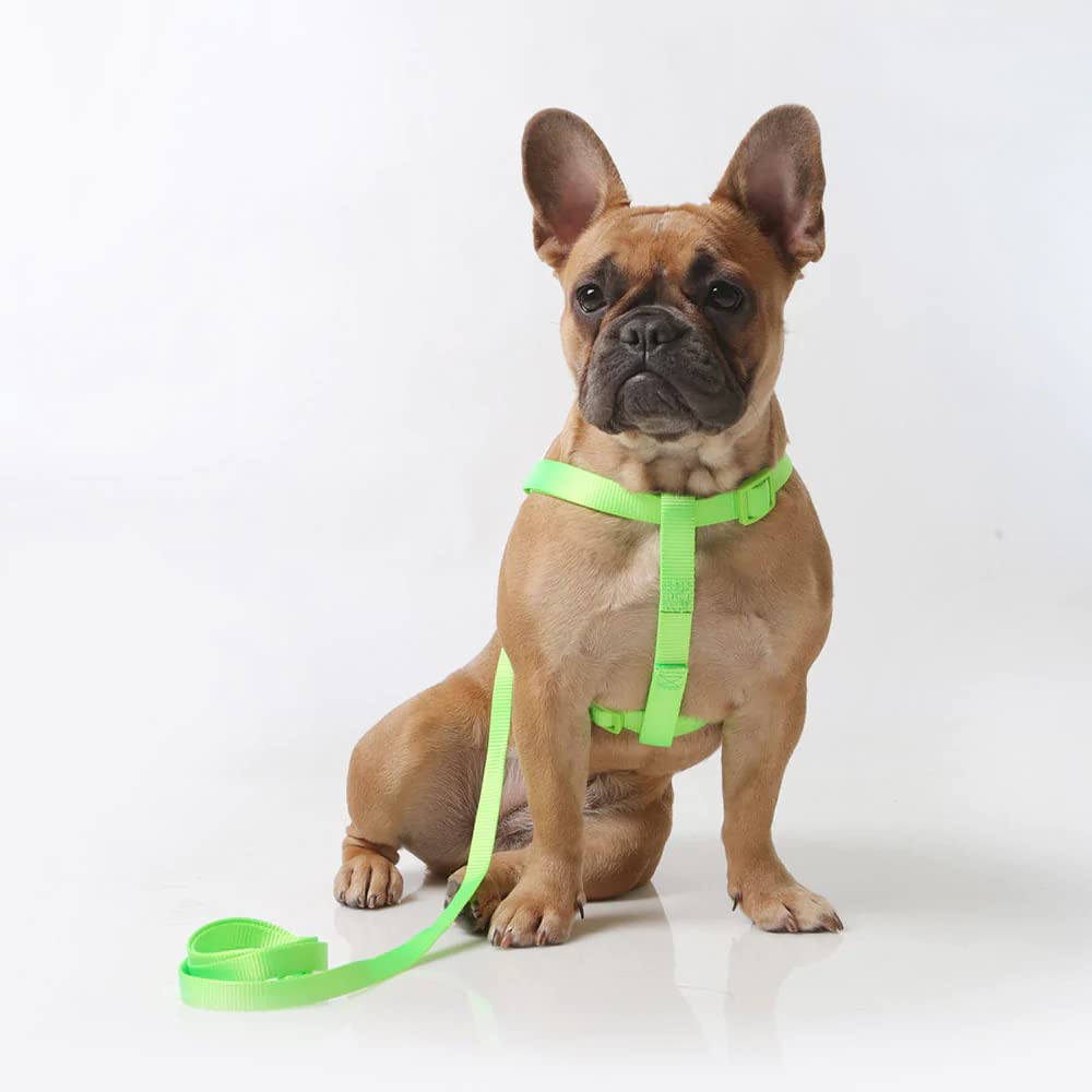 RvPaws Nylon Adjustable Leash with Harness Set 0.5 Inch Puppy Harness for Small & Medium Dogs - 15 MM (Parrot Green Color) (B0B642QRXL) Amazon Price History, Amazon Price Tracker