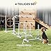 PawHut Agility Set Hunde 4-teiliges Agility-Ausrüstung für Hundetraining Steckhürdenset mit höhenverstellbar Hürden Reifen Trainingszubehör Koordinationstraining Agilityset für Spiele Training