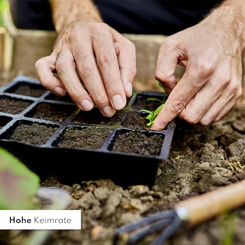 Blumen Samen Set - 10 bunte Blumensamen Sorten für den Garten oder Balkon, die Bienenweide und Wildblumenwiese - Blumenwiese Samen - bunte Wildblumensamen Mischung