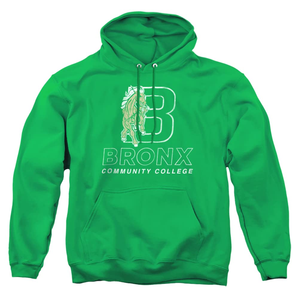 LOGOVISION Official Collegiate Distressed Primary Logo Adult Pullover Hoodie Collection — view 509