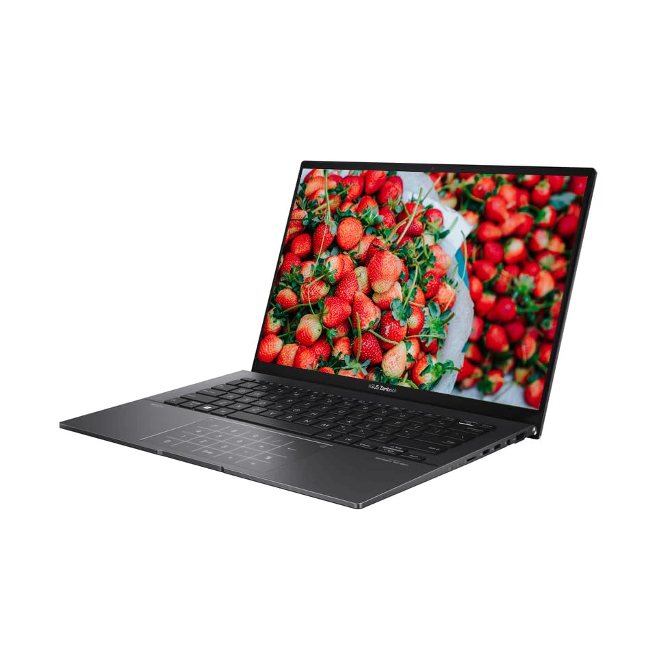 Amazon.com: ASUS 2025 Portable Zenbook, 14'' OLED 2.8K IPS
