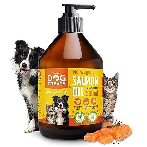 Omega 3 Mercadona para perros el aliado saludable para tu mascota Mi