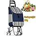 Pkfinrd Folding Einkauf Auto tragbarer Lebensmittelprogramm Leichte Stair Climbing Wagen mit Rollen-Schwenker Rädern und Abnehmbarer Wasserdicht Herausnehmbare Tasche (Color : Blue)
