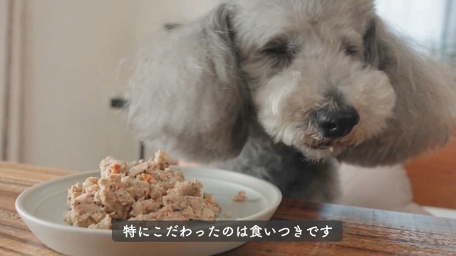 Amazon.co.jp: わんこ想い ドッグフード 国産 無添加 [ 獣医師共同開発